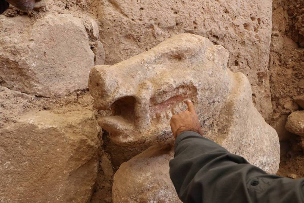 Göbelitepe'de heyecanlandıran keşif: Dünyanın en eskisi ilk kez ülkemizde bulundu! Tarih öncesi sanatın en etkileyici örneği 39